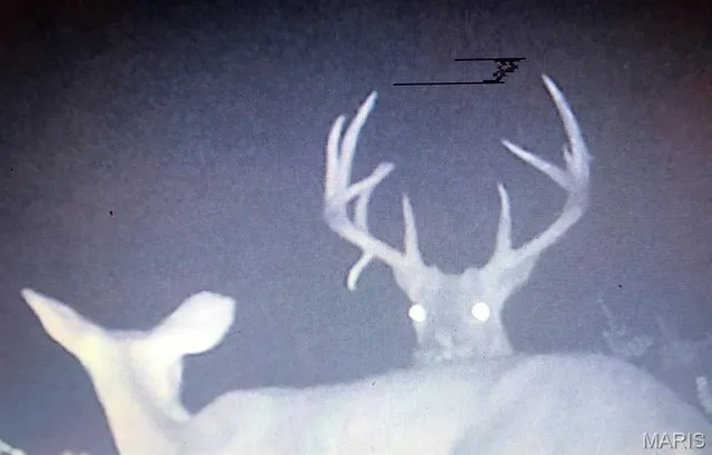 $375,000 | 0 Rd Runner Hollow, Olive Branch, IL 62969