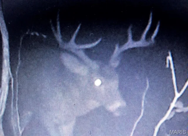 $375,000 | 0 Rd Runner Hollow, Olive Branch, IL 62969