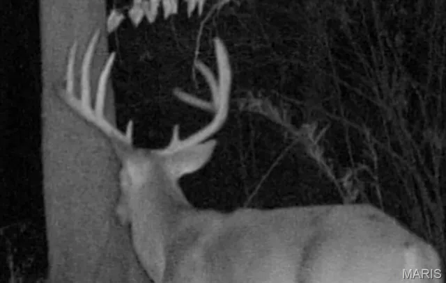 $375,000 | 0 Rd Runner Hollow, Olive Branch, IL 62969