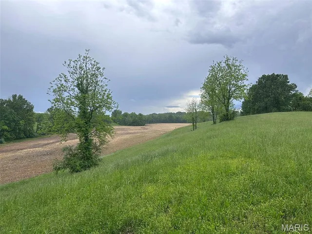 $375,000 | 0 Rd Runner Hollow, Olive Branch, IL 62969