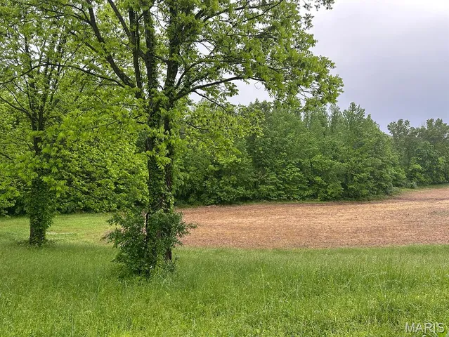 $375,000 | 0 Rd Runner Hollow, Olive Branch, IL 62969