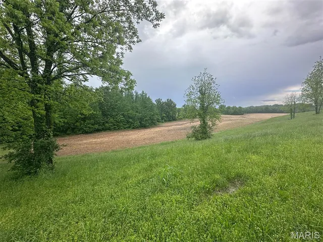 $375,000 | 0 Rd Runner Hollow, Olive Branch, IL 62969