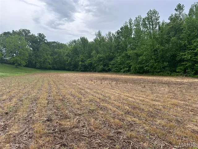 $375,000 | 0 Rd Runner Hollow, Olive Branch, IL 62969