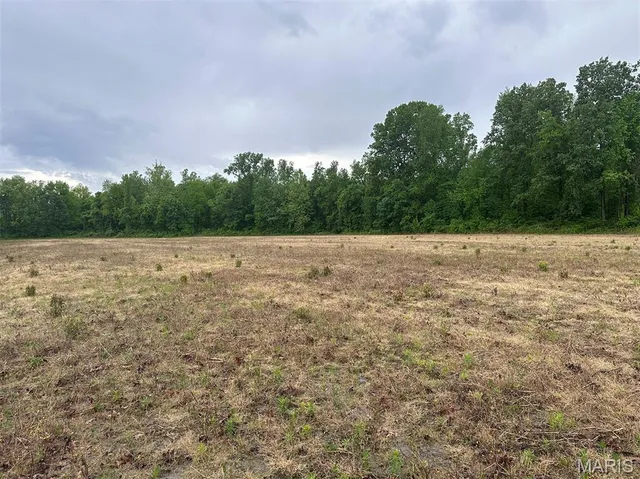 $375,000 | 0 Rd Runner Hollow, Olive Branch, IL 62969