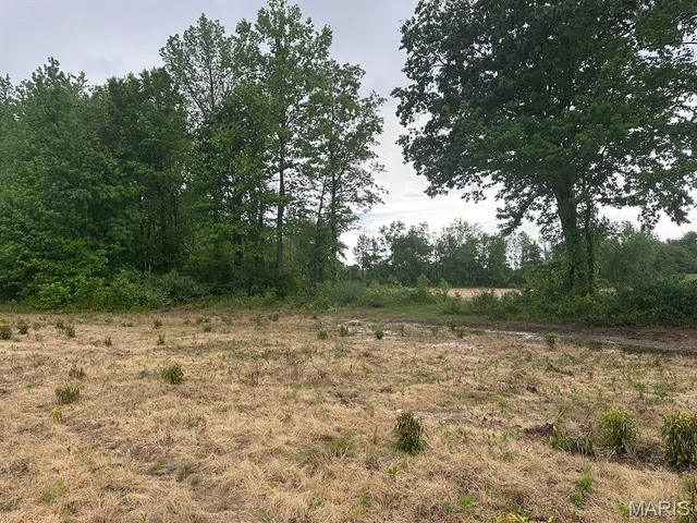 $375,000 | 0 Rd Runner Hollow, Olive Branch, IL 62969