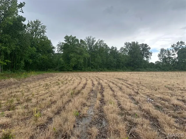 $375,000 | 0 Rd Runner Hollow, Olive Branch, IL 62969