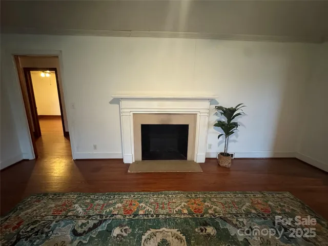 a view of a livingroom with a fireplace and a potted plant