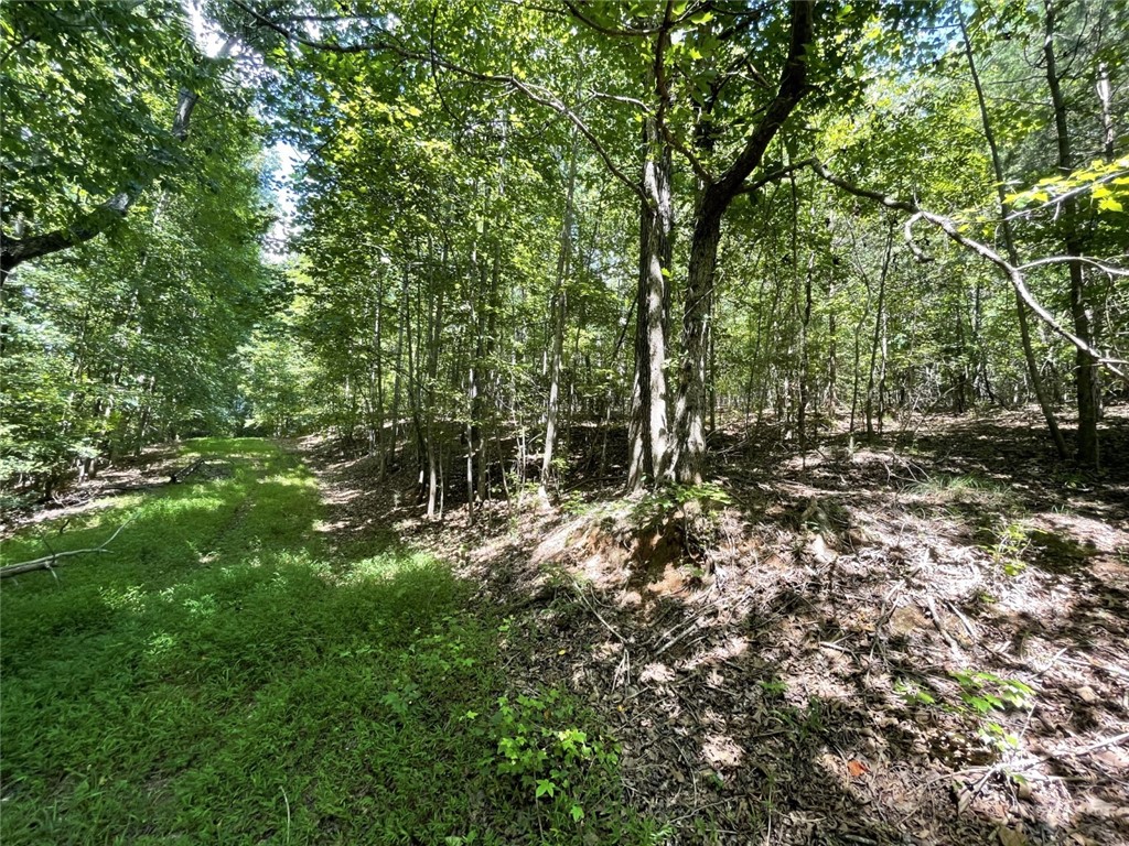 0 West Butler Road Greenville, SC 29607 - Photo 4 of 12