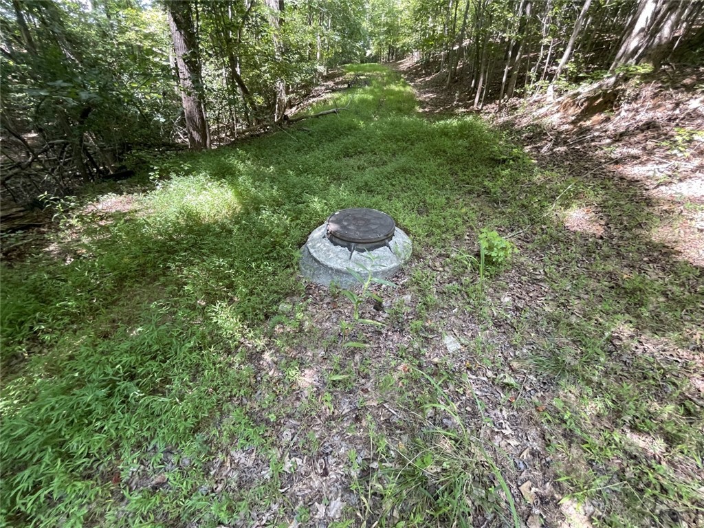 0 West Butler Road Greenville, SC 29607 - Photo 5 of 12