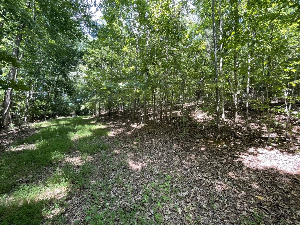 0 West Butler Road Greenville, SC 29607 - Photo 6 of 12