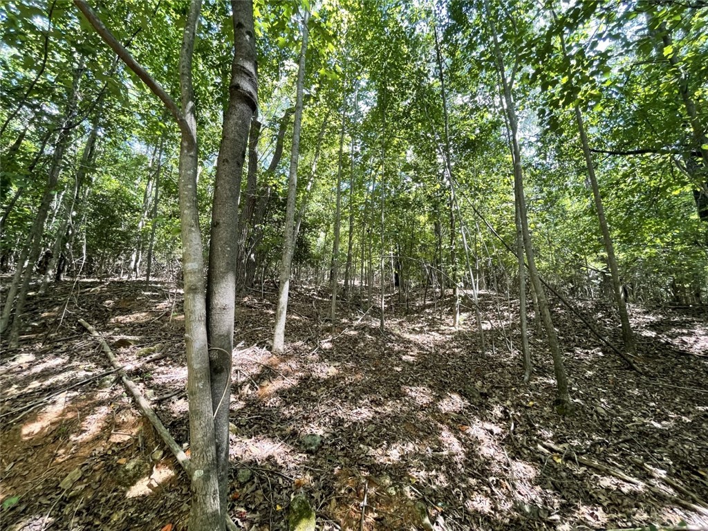 0 West Butler Road Greenville, SC 29607 - Photo 7 of 12