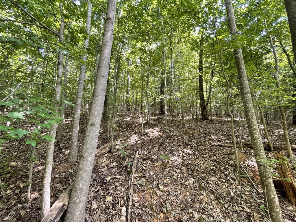 0 West Butler Road Greenville, SC 29607 - Photo 8 of 12