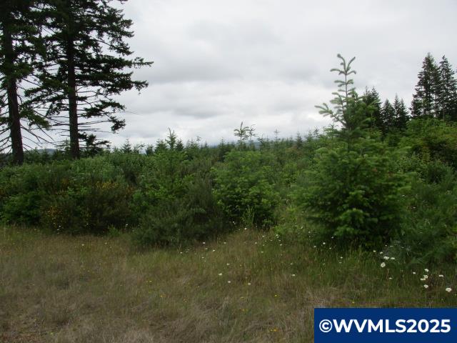 0 Gruber South Road Estacada, OR 97023 - Photo 5 of 30