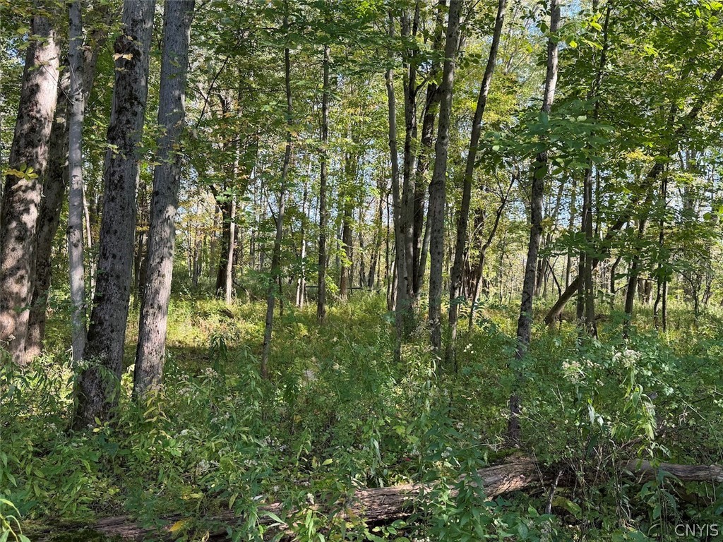 4758 Brown Road Conewango Valley, NY 14726 - Photo 48 of 50 Gallery Image 48