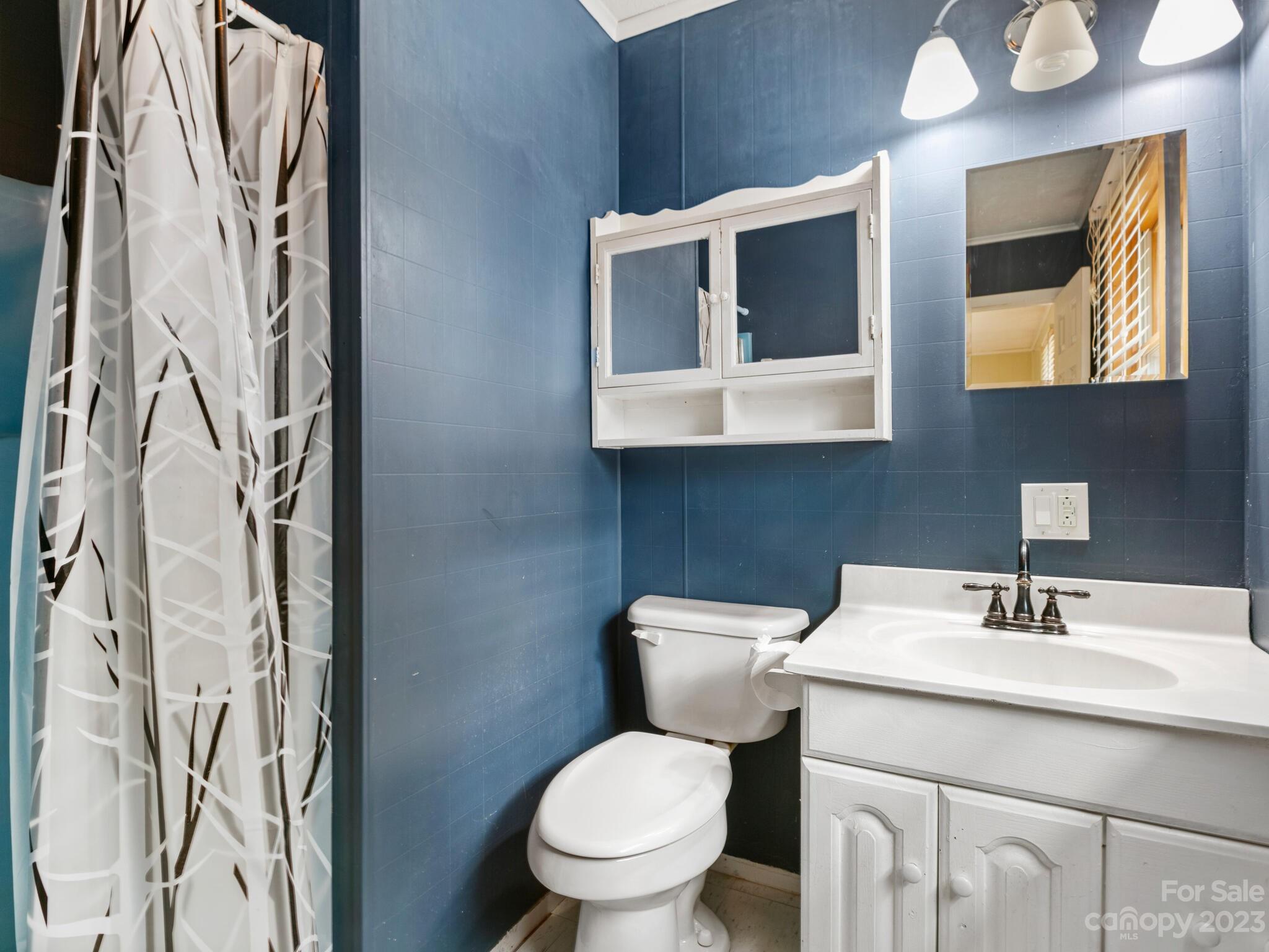 98 Pinecrest Drive Alexander, NC 28701 - Photo 12 of 32 a bathroom with a toilet sink and mirror