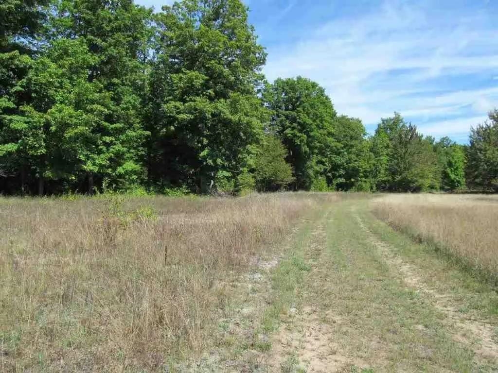 5560 North 3 Road Mesick, MI 49668 - Photo 13 of 14