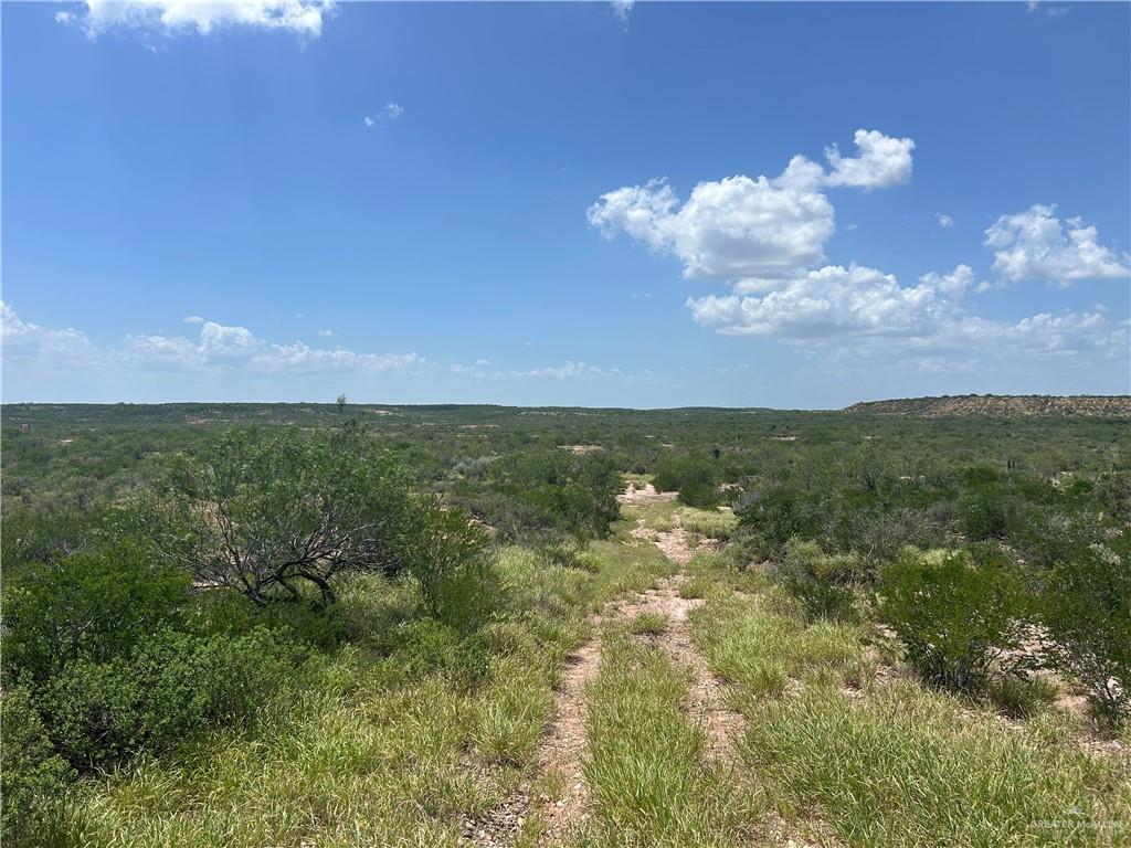 Tbd Alejandrenas Road Zapata, TX 78076 - Photo 5 of 6