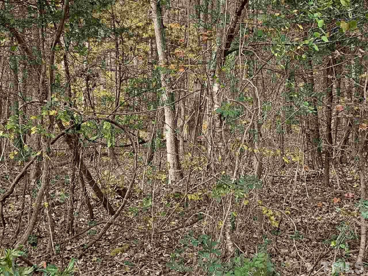 6416 Coltsfoot Drive Rougemont, NC 27572 - Photo 2 of 5