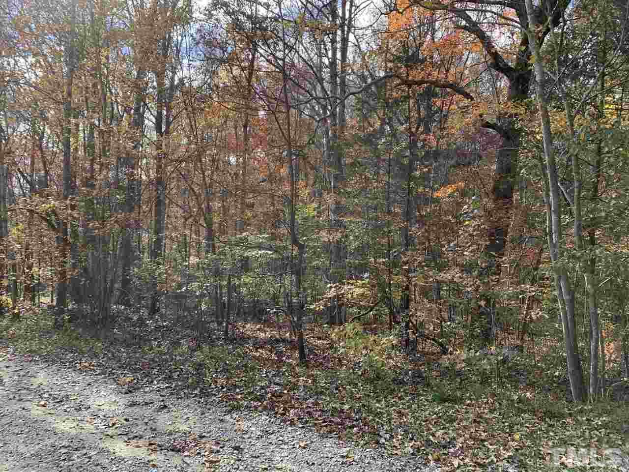6416 Coltsfoot Drive Rougemont, NC 27572 - Photo 3 of 5 a view of a forest with large trees