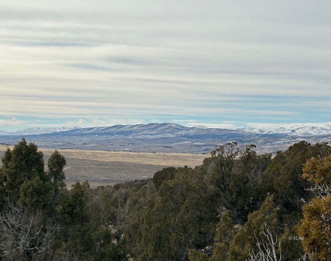 Lee Road Rd Spring Creek Spring Creek, NV 89815 - Photo 4 of 9
