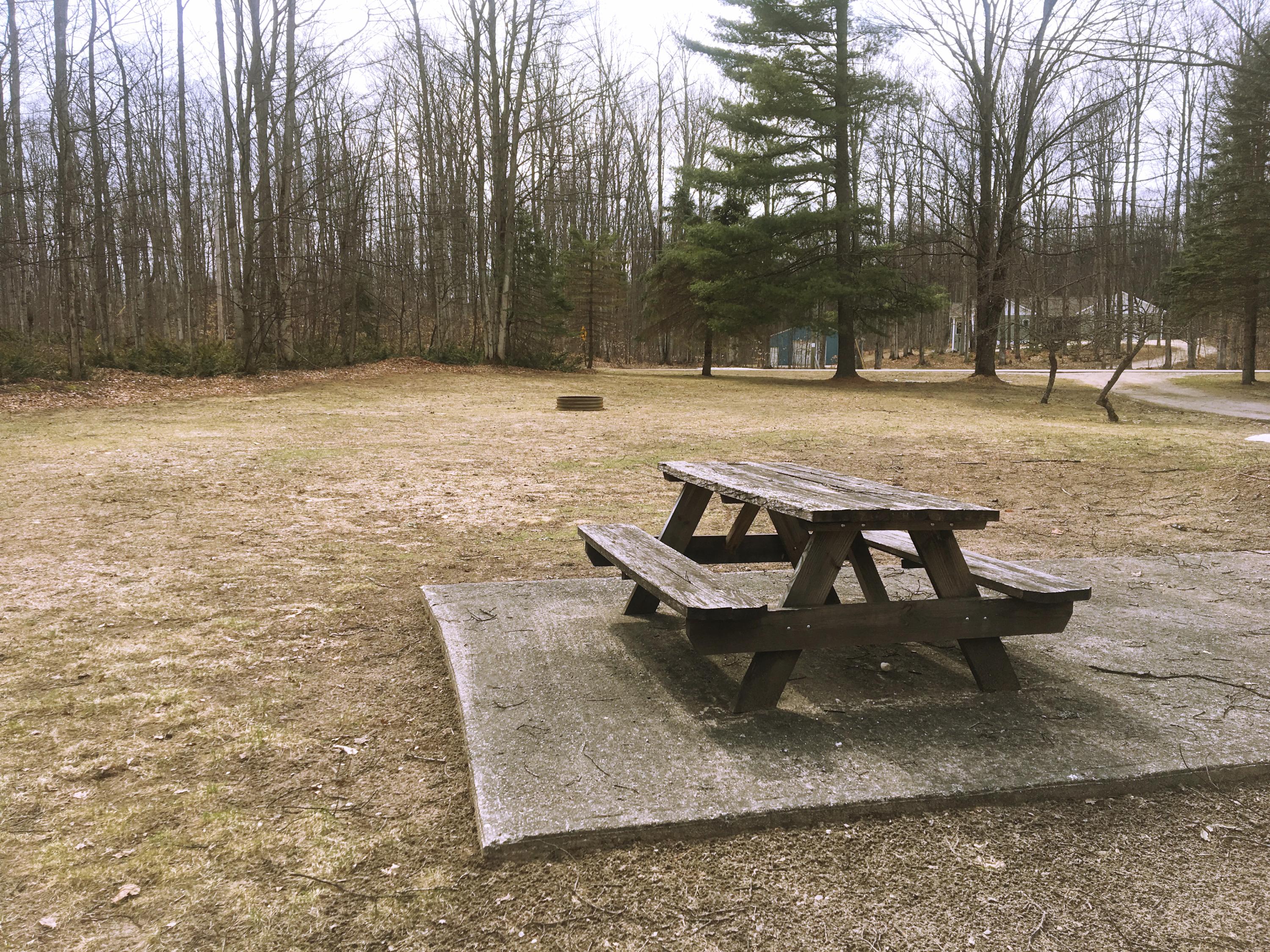 1611 Camp 10 Road Gaylord, MI 49735 - Photo 25 of 36 Gallery Image 25