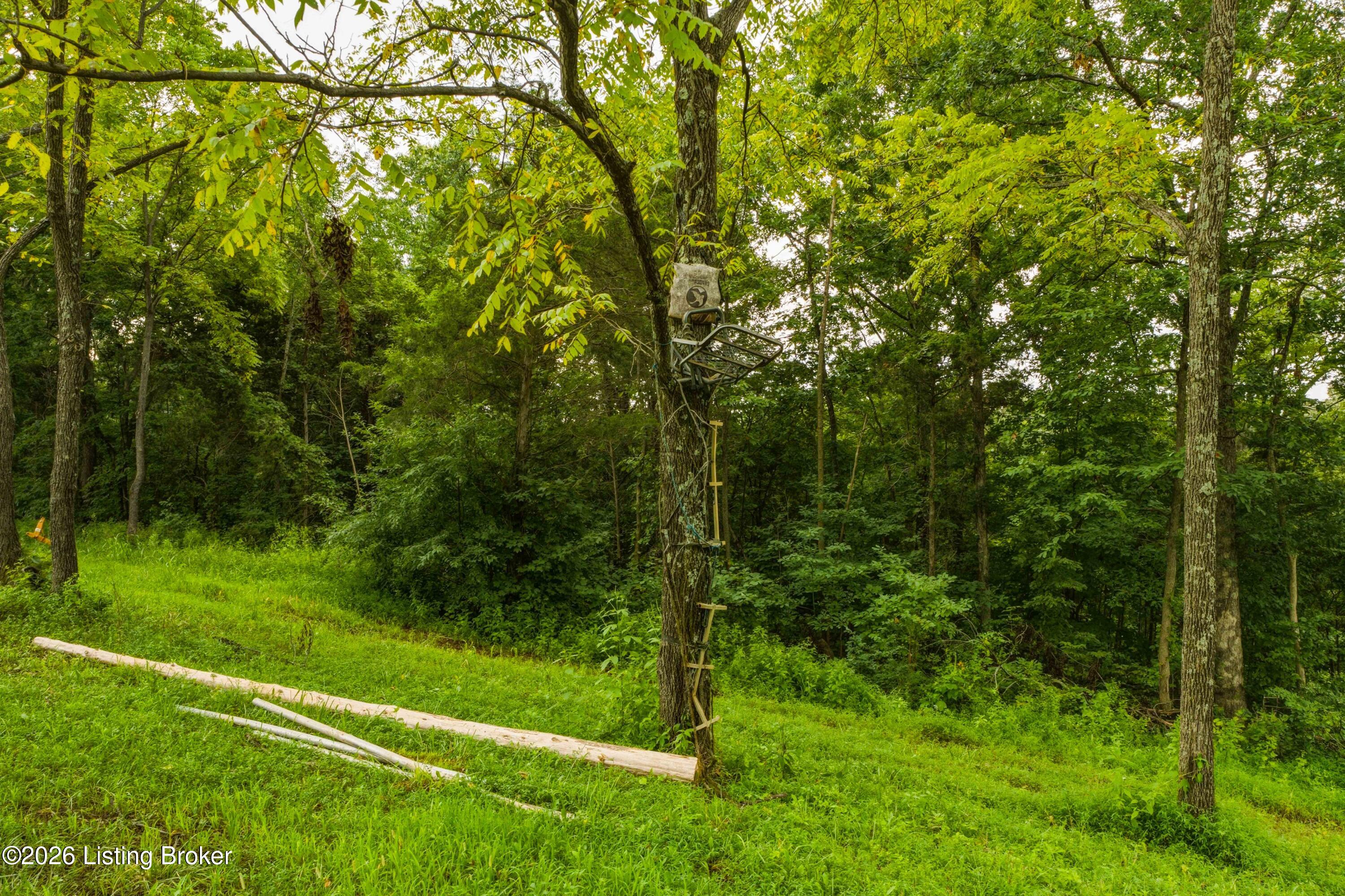 295 Bray Ridge Road Bedford, KY 40006 - Photo 68 of 72 25_Deer_Stand_Detail