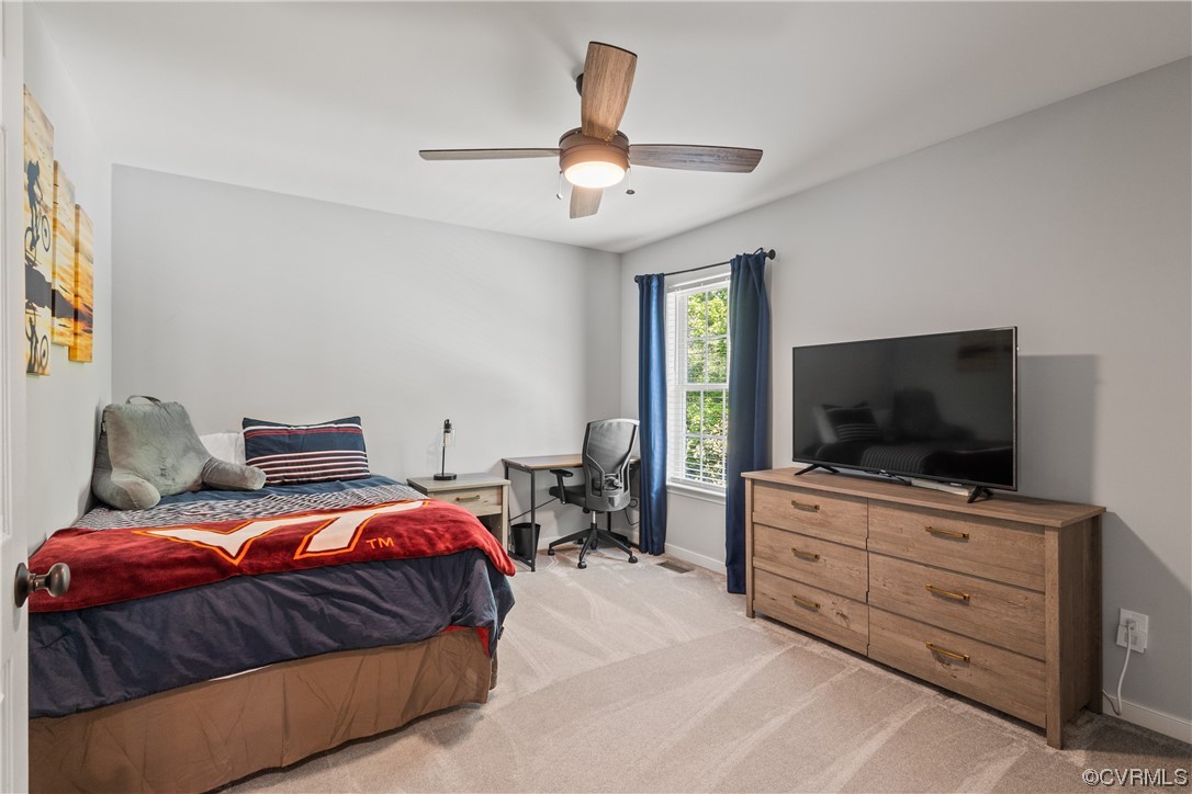 13524 Raftersridge Terrace Midlothian, VA 23113 - Photo 29 of 42 Gallery Image 29