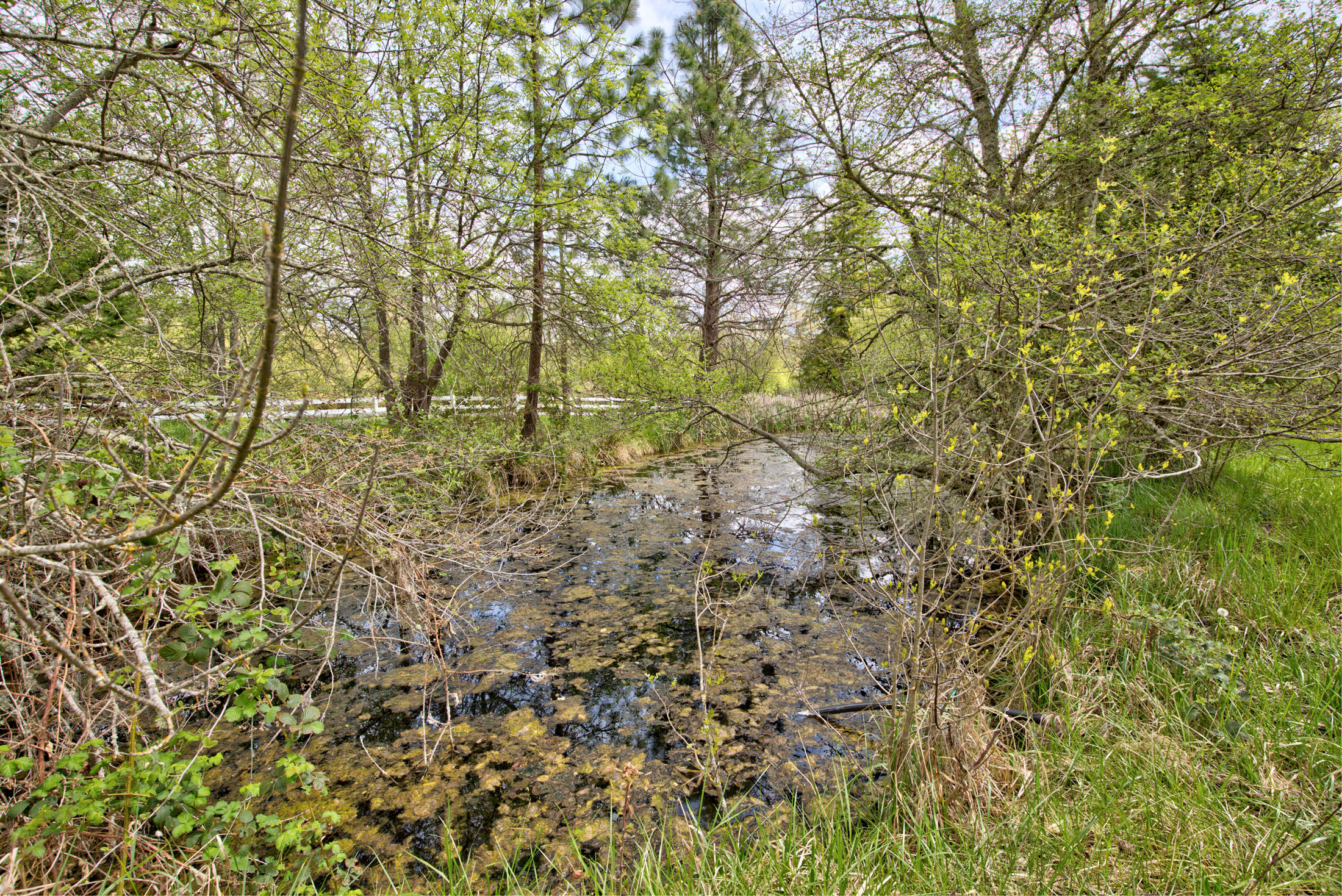 505 Horizon Hills Road Williams, OR 97544 - Photo 58 of 66 horizon058