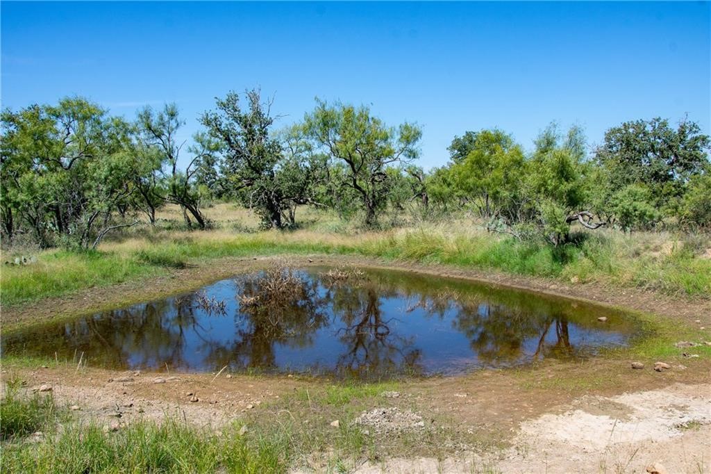 405 County Road 405 Valley Spring, TX 76885 - Photo 18 of 40