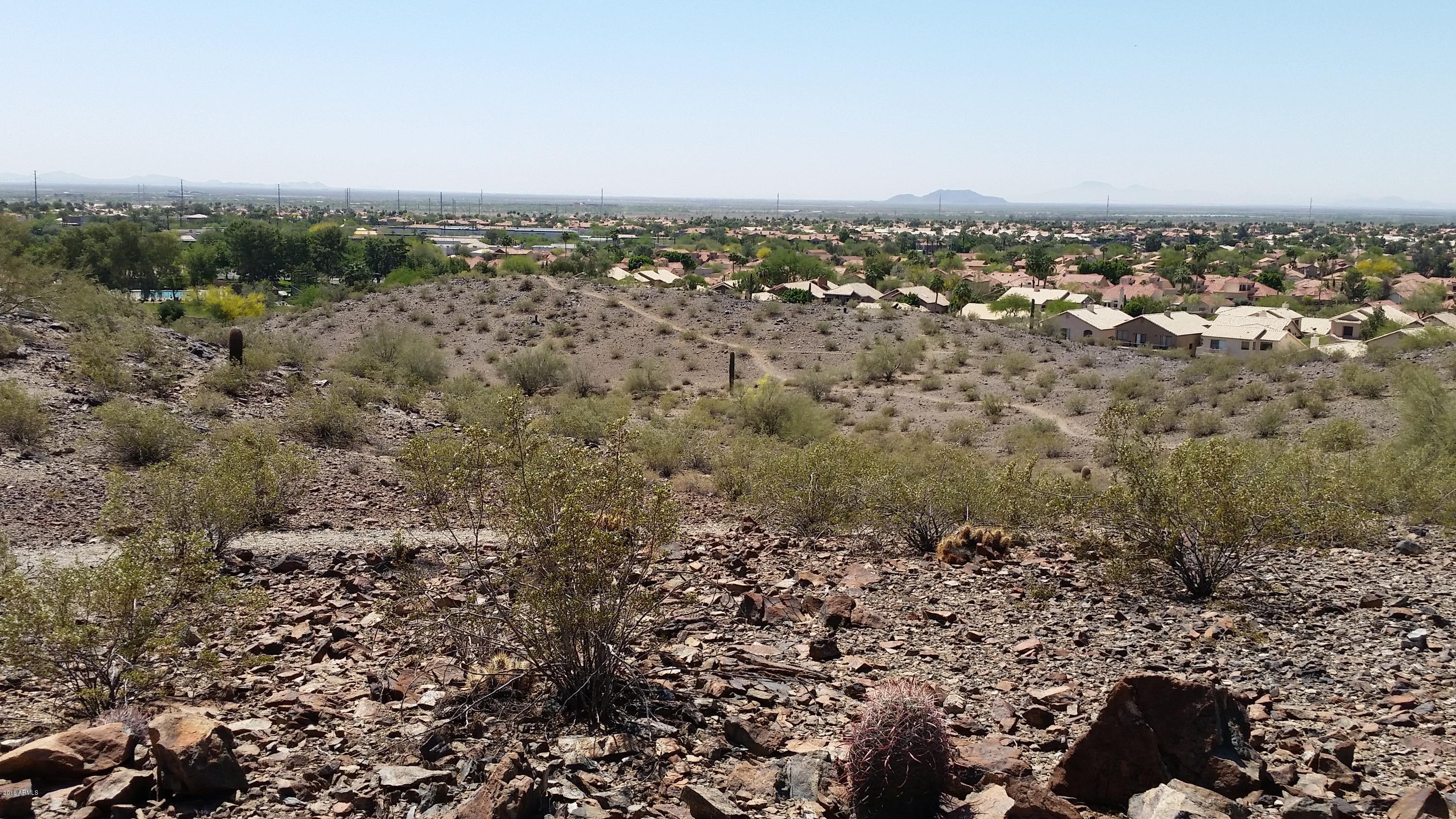 3130 East Amber Ridge Way Phoenix, AZ 85048 - Photo 48 of 48 20160404_111732