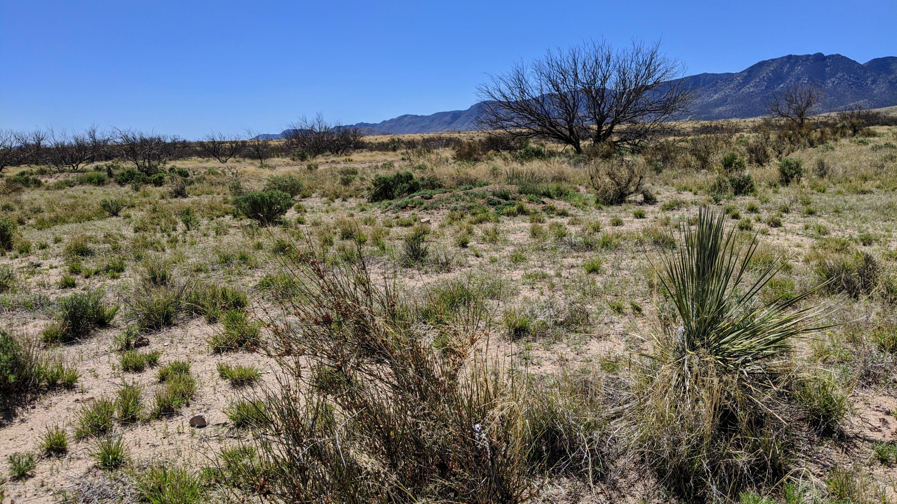 1.28 Acre On Pearce Road, Unit 19 Cochise, AZ 85606 - Photo 5 of 8