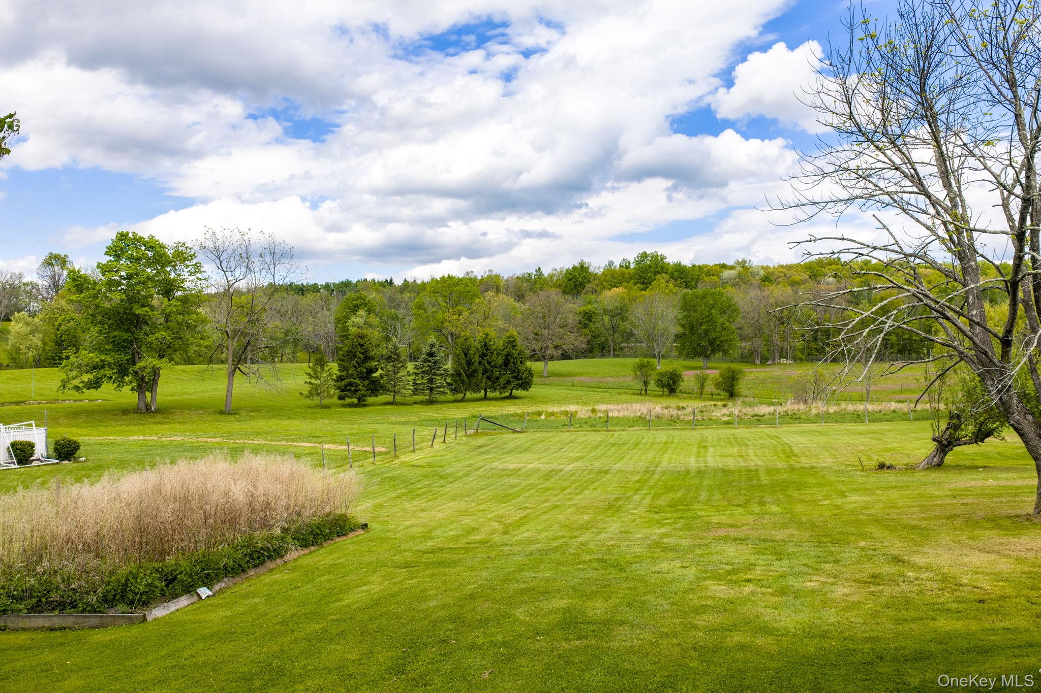 180 Mt Orange Road Middletown, NY 10940 - Photo 4 of 46
