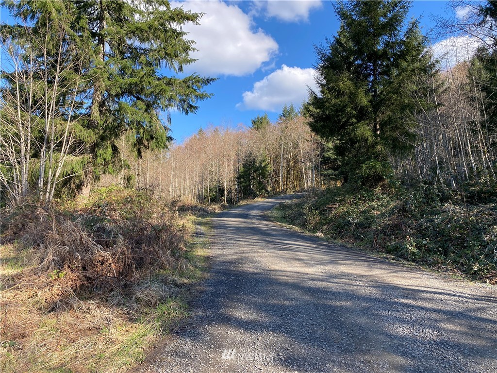 5340 Rose Valley Road Kelso, WA 98626 - Photo 1 of 9 Gallery Image 1