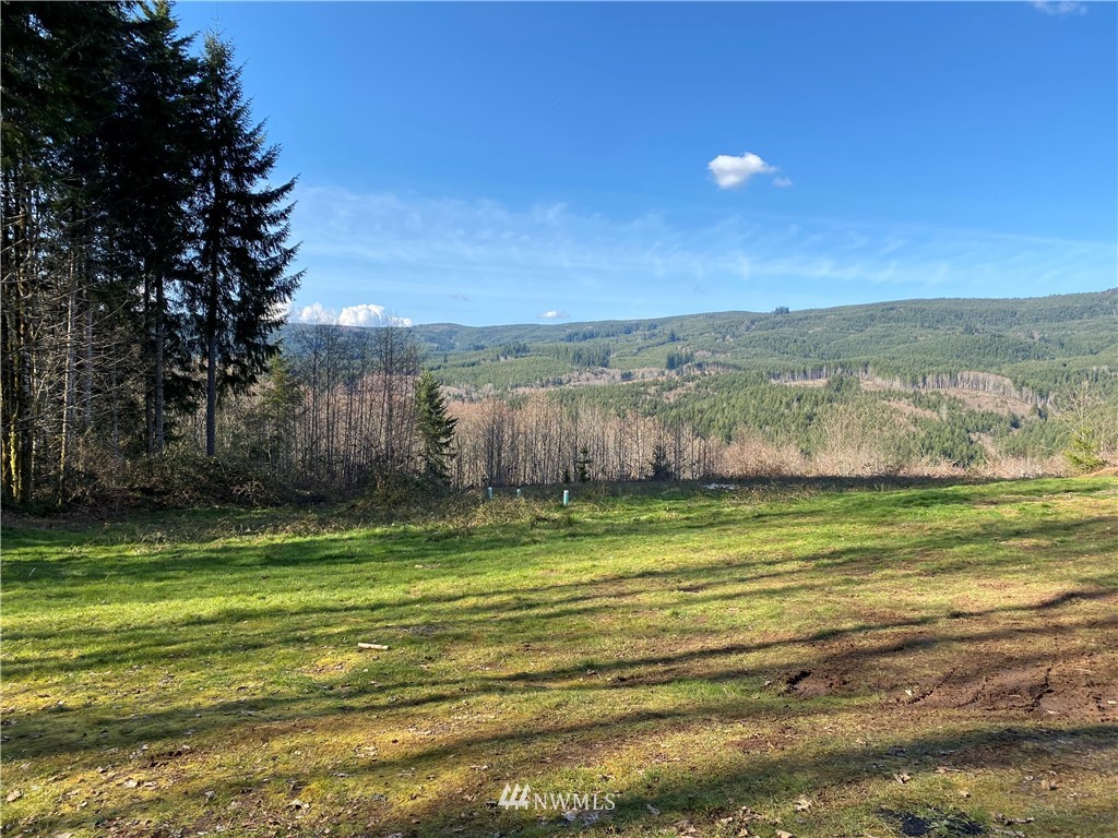 5340 Rose Valley Road Kelso, WA 98626 - Photo 2 of 9 Gallery Image 2