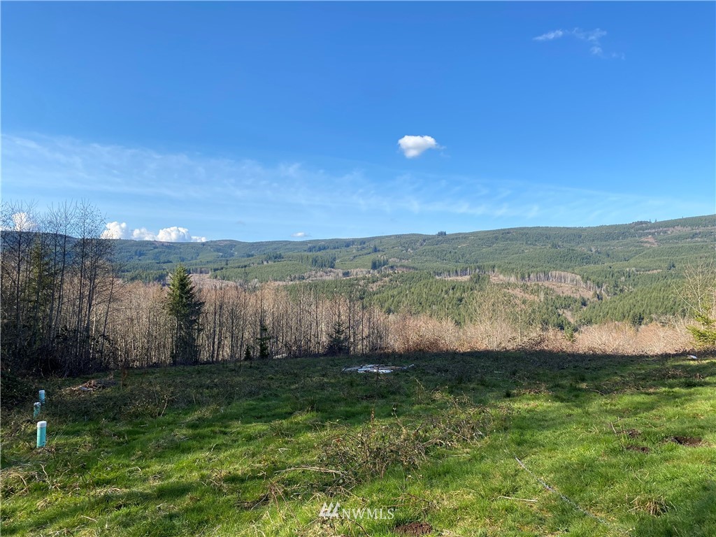 5340 Rose Valley Road Kelso, WA 98626 - Photo 3 of 9 Gallery Image 3