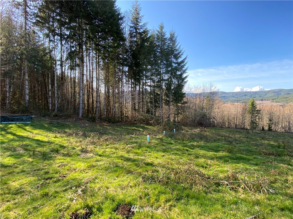 5340 Rose Valley Road Kelso, WA 98626 - Photo 5 of 9 Gallery Image 5
