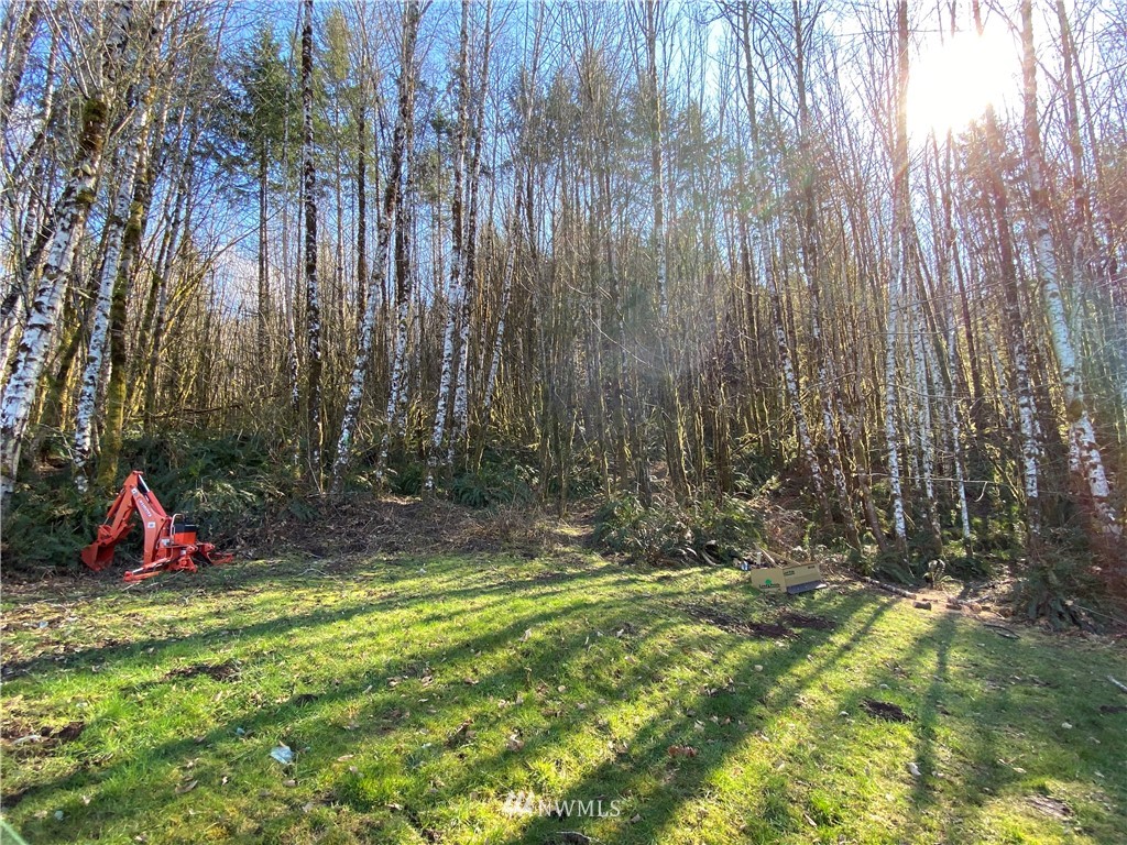 5340 Rose Valley Road Kelso, WA 98626 - Photo 6 of 9 Gallery Image 6
