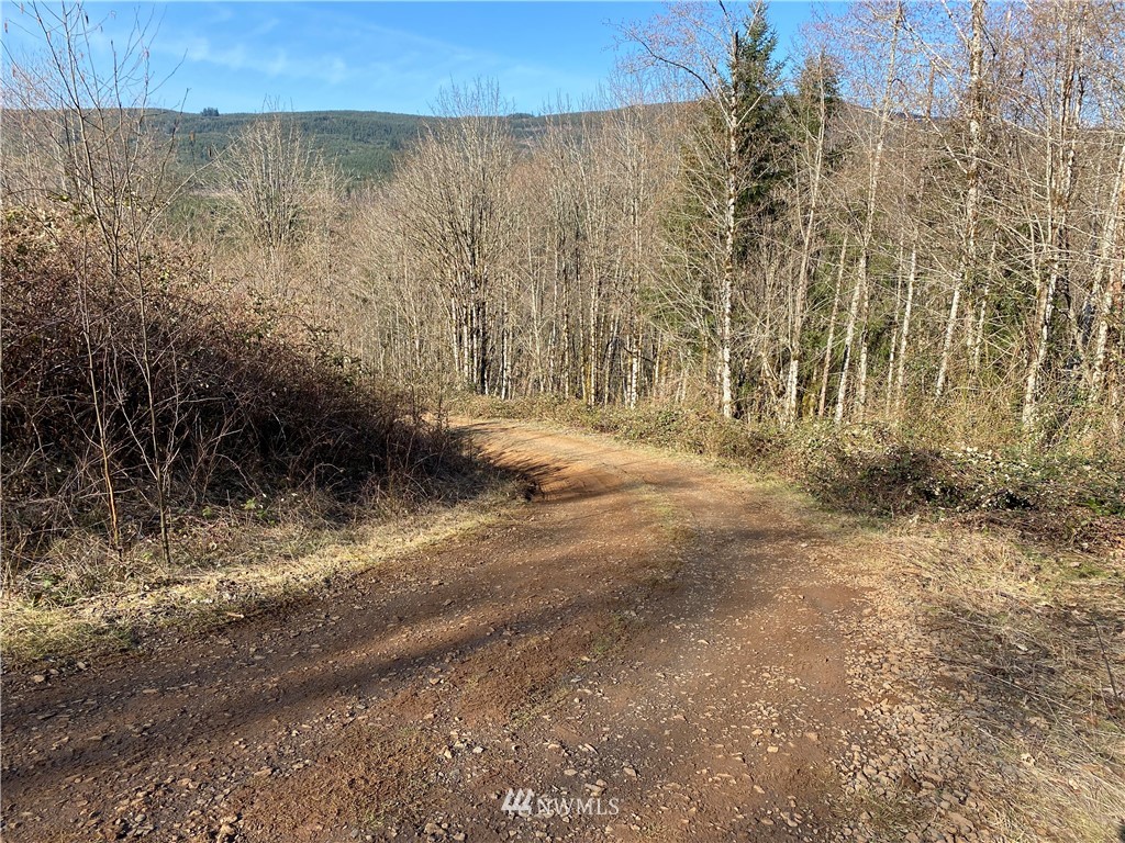 5340 Rose Valley Road Kelso, WA 98626 - Photo 7 of 9 Gallery Image 7