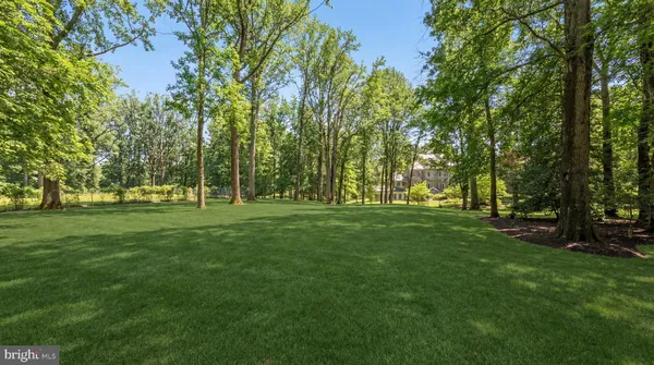 a view of park space