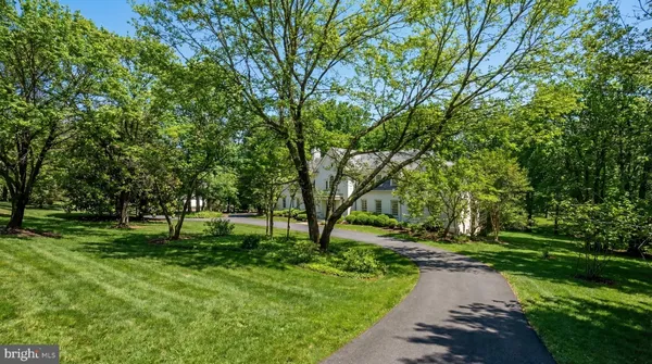 a view of park with trees