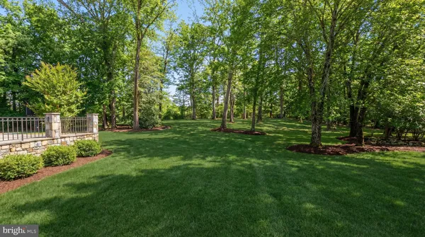 a view of a park with large trees