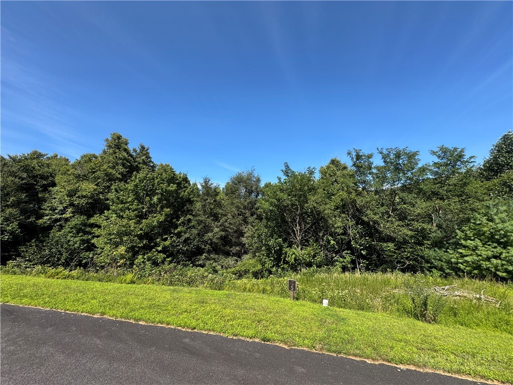 Lot 5 Wapiti Way Boone, NC 28607 - Photo 8 of 37 Gallery Image 8