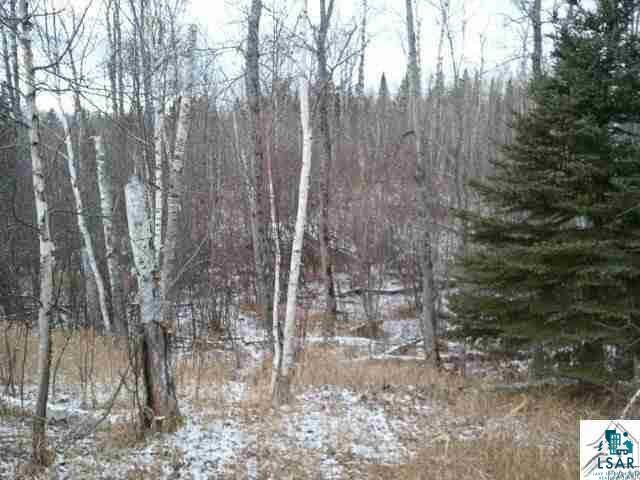 40-ac Mink Ranch Road Lutsen, MN 55612 - Photo 4 of 14