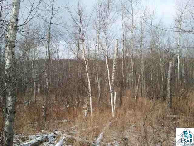40-ac Mink Ranch Road Lutsen, MN 55612 - Photo 5 of 14