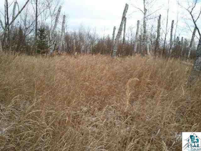 40-ac Mink Ranch Road Lutsen, MN 55612 - Photo 8 of 14