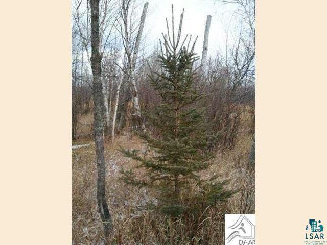 40-ac Mink Ranch Road Lutsen, MN 55612 - Photo 10 of 14