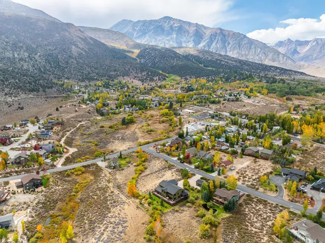 a view of a area with plants and wooden fence