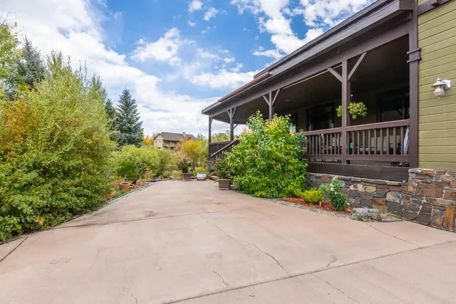 a view of backyard with plants and trees