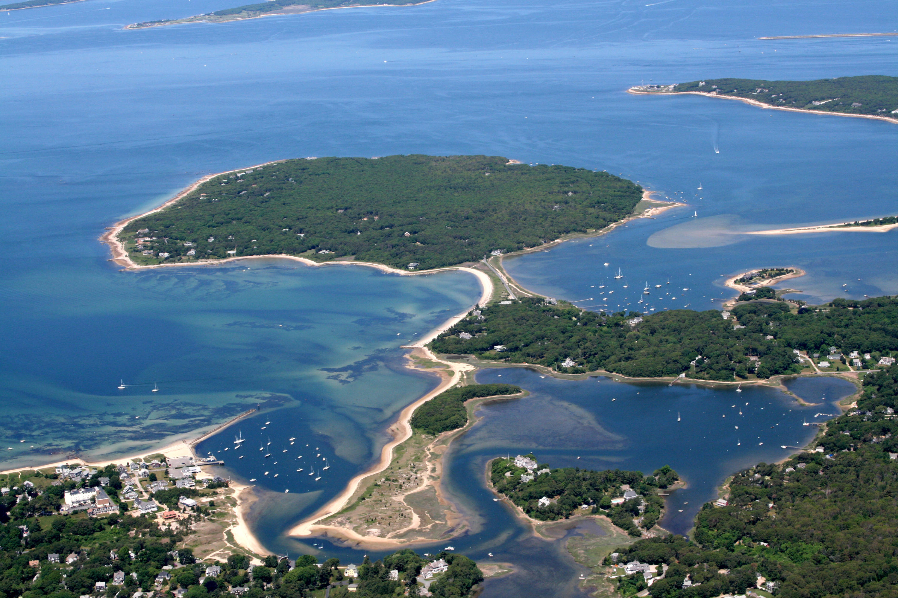 438 Scraggy Neck Road Cataumet, MA 02534 - Photo 4 of 33 a view of a garden with an ocean space