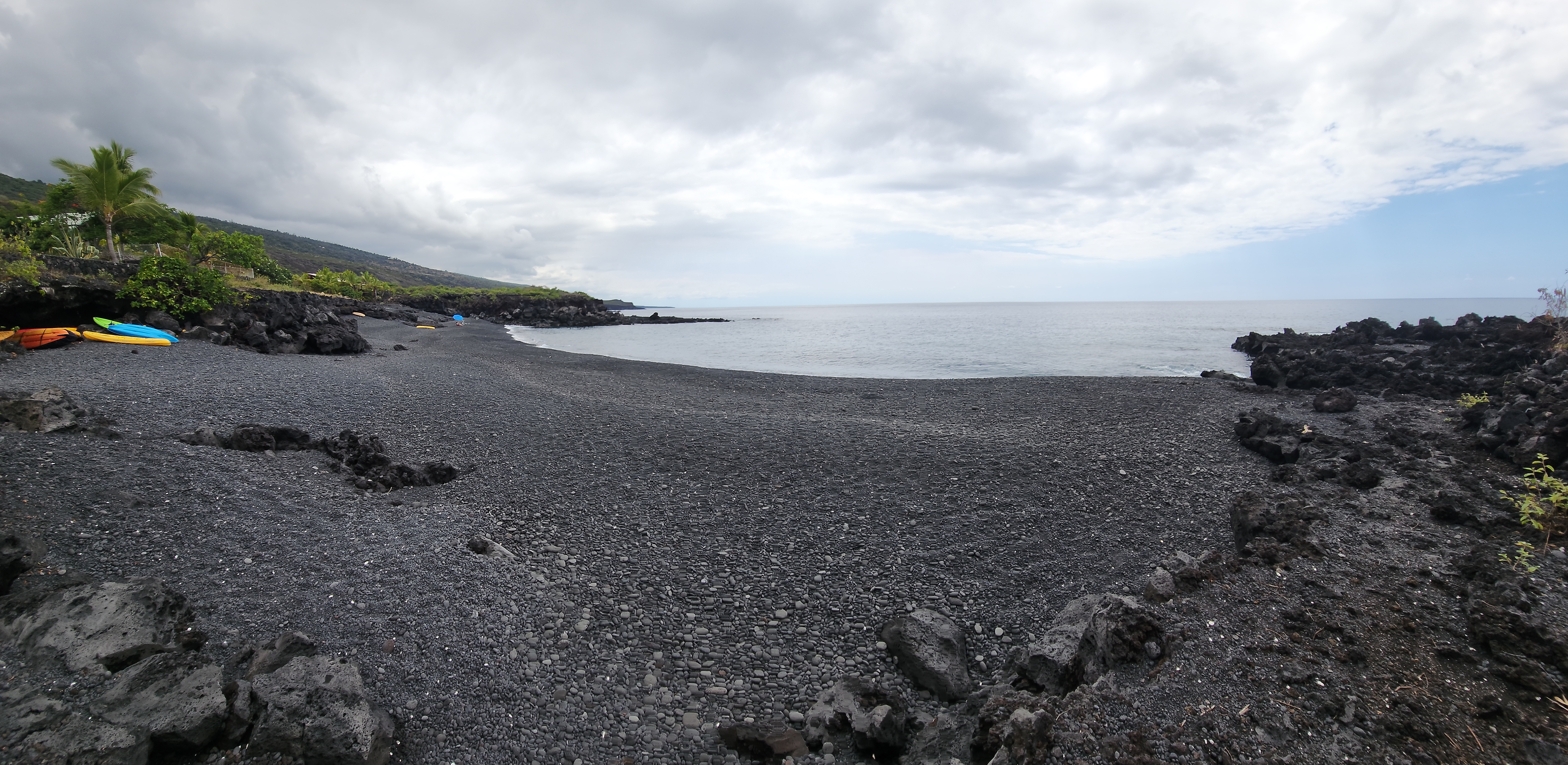 146 Fern Road Captain Cook, HI 96704 - Photo 14 of 14 a view of a dry yard with lots of plants and green space